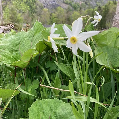 Helis Holiday Suites Altaussee Semesterbostad *