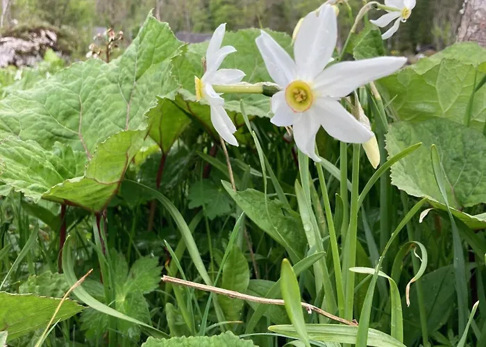 Helis Prázdninový dům *